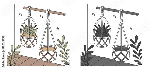 Two hanging basket plants with matching color variations in a minimalist style illustrated with simple lines.