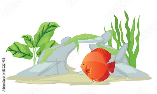 dutch style aquascape with discus fish