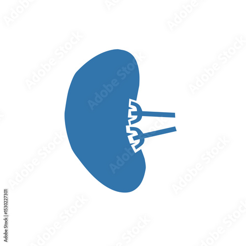 kidney organ icon