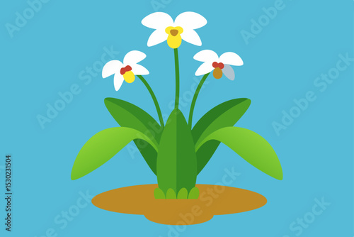 flowers in a vase