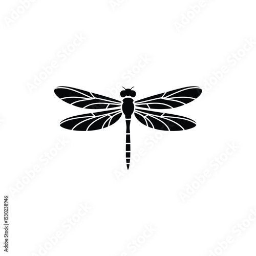 Dragonfly Silhouette Illustration Minimalist Black and White Insect with Detailed Wing Veins