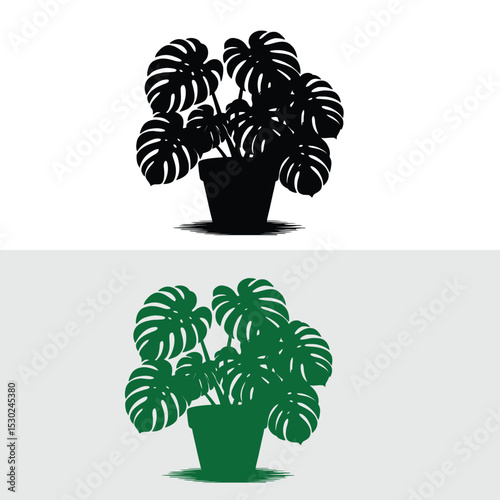 palm tree vector illustration