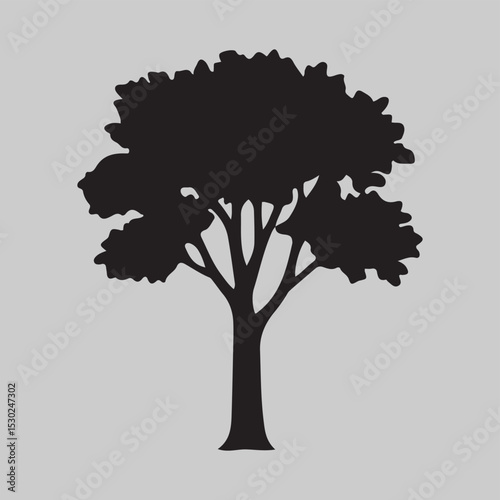 Silhouette of a Deciduous Tree