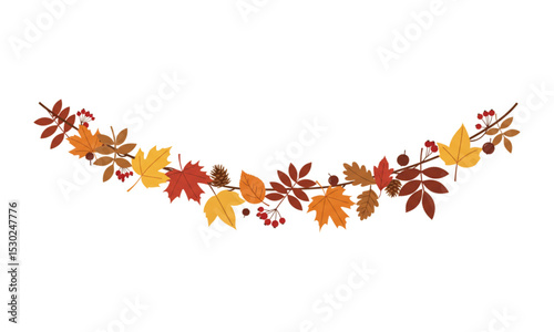 autumn leaves on white