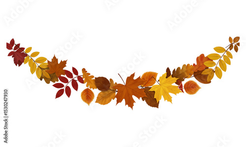 autumn leaves on white background