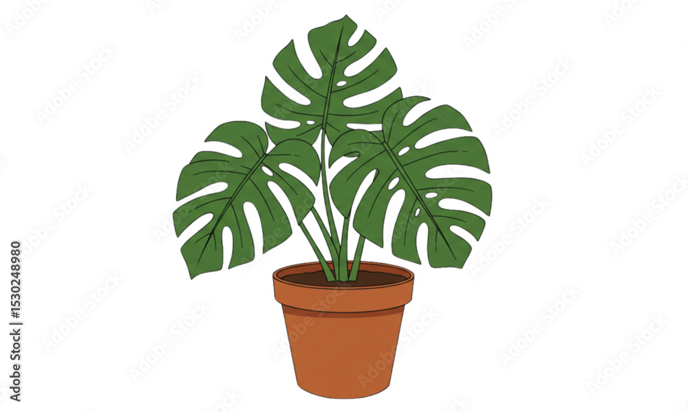 Fototapeta premium green plant in a pot
