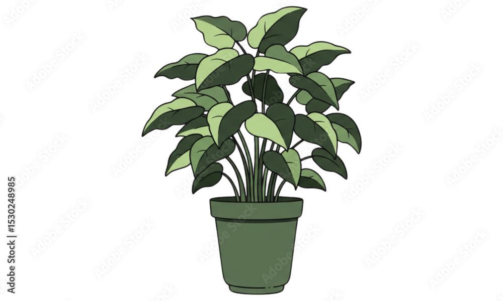 Obraz premium green plant in a pot
