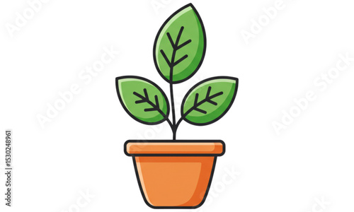 green plant in a pot
