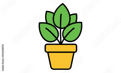 plant in pot
