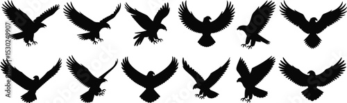 Silhouette of flying hawks, set of eagle vector illustrations, black bird symbols, aggressive flight pose, isolated predator icon collection

 flat vector illustration