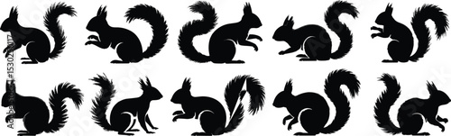 Squirrel silhouette vector set, fluffy tail animal shapes, forest rodent illustration, wildlife sitting pose icons, black squirrel graphic collection

 flat vector illustration