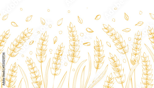 Oat pattern. Oat spikes background. Line cereal drawing. Grain farm sketch in golden color. Vector bread plant art. oat, flake, gold, grain, outline, seed, crop, drawing, drawn, milk, simple, 