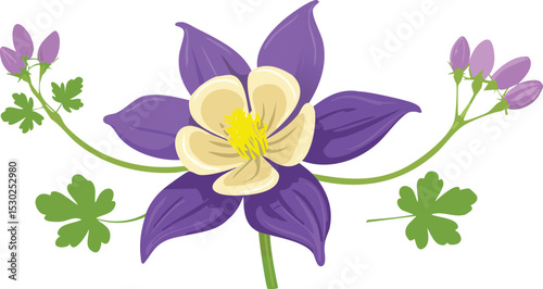 Flower columbine aquilegia. Vector sketch illustration. Botanical outline doodle drawing. Nature contour hand drawn columbine aquilegia vector. outline, art, illustration, flower, nature, vector,