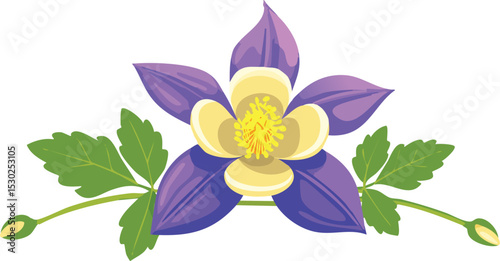 Flower columbine aquilegia. Vector sketch illustration. Botanical outline doodle drawing. Nature contour hand drawn columbine aquilegia vector. outline, art, illustration, flower, nature, vector,