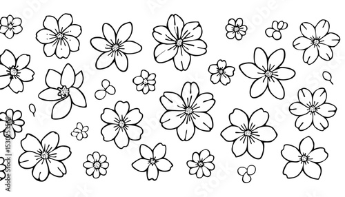Sakura flowers blossom set, hand drawn line ink style. Cute doodle cherry plant vector illustration, black isolated on white background.blossom, ink, japan, japanese, marriage, oriental, outline,