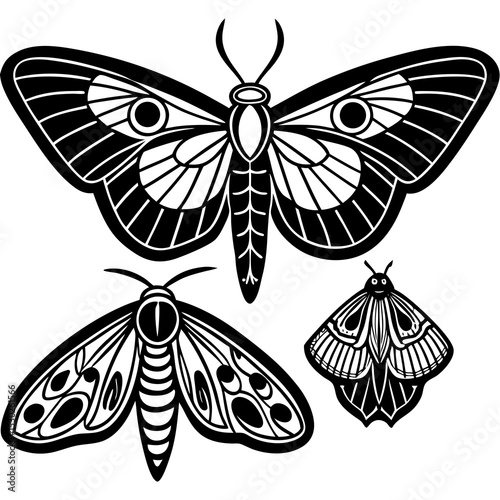 Moth Butterfly Line Art


Moth Butterfly Line Art




