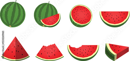 Watermelon illustration set. Vector cartoon collection of watermelon and slice of watermelon. Fresh fruit healthy.