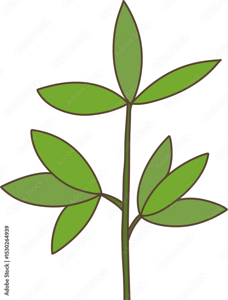 Fototapeta premium flower illustration