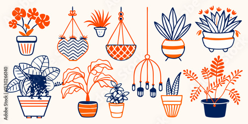 Collection of houseplants in pots and hanging planters