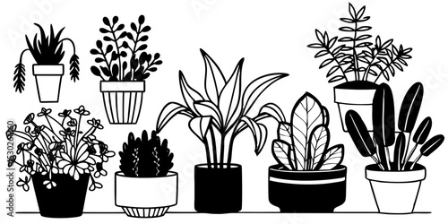 Collection of houseplants in black and white