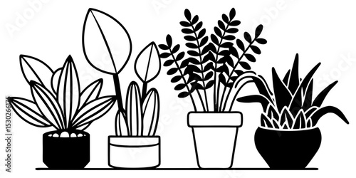 Four houseplants in black and white line art