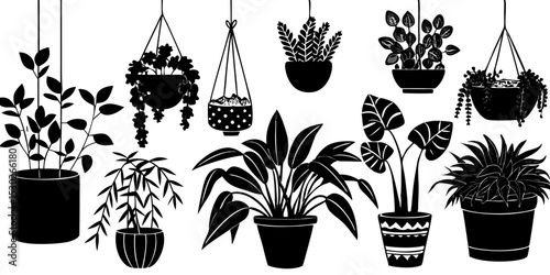 Collection of black silhouette houseplants in pots