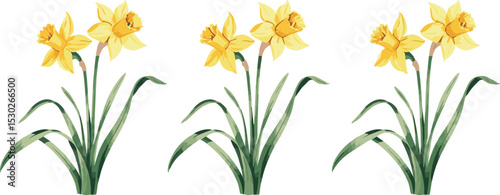 wheat ears Vectors illustrations