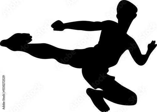 Martial Arts Sillhouette Element