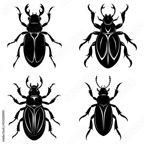 Four beetle illustrations with different wing patterns in black and white vector format design element