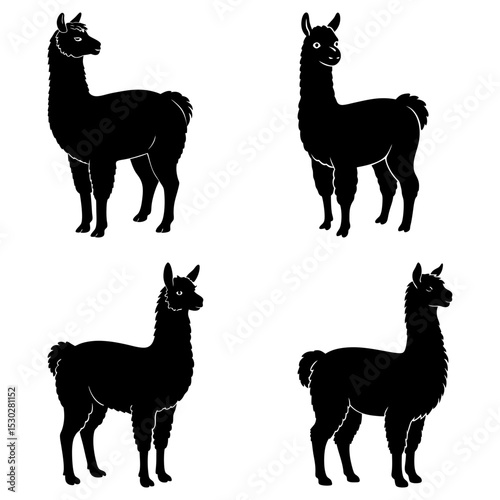Four silhouette depictions of llamas in various poses against a white background image art work
