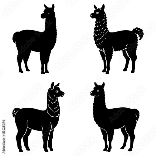 Four black silhouette llamas standing in various poses against a white background in a simple illustration