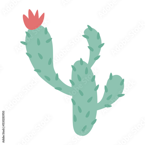 Flowering Cactus