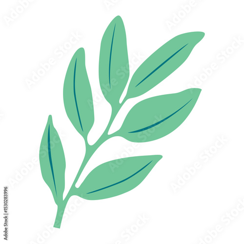 Plant Branch with Leaves