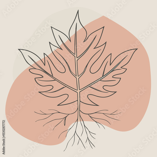 Illustration of a papaya leaf with roots on abstract shape