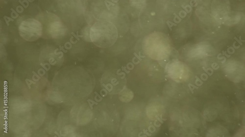 Abstract Olive Green Bokeh Background Texture Light Sparkle Dust Particles