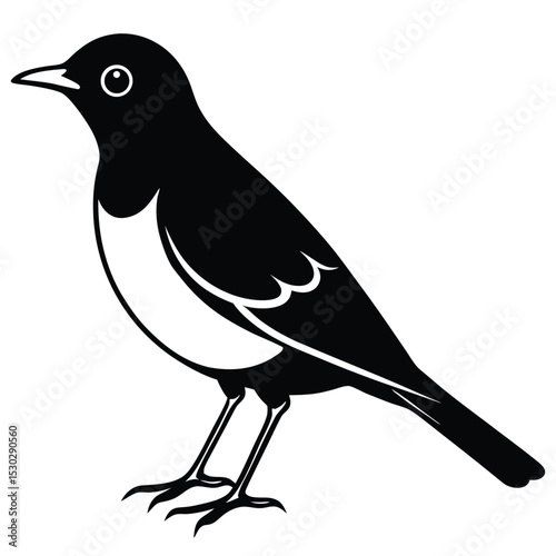 American robin bird illustration in profile view