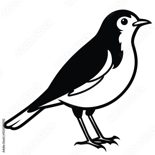 American robin bird illustration in profile view