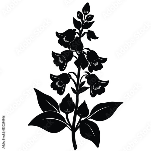 Angelonia flower on white background design