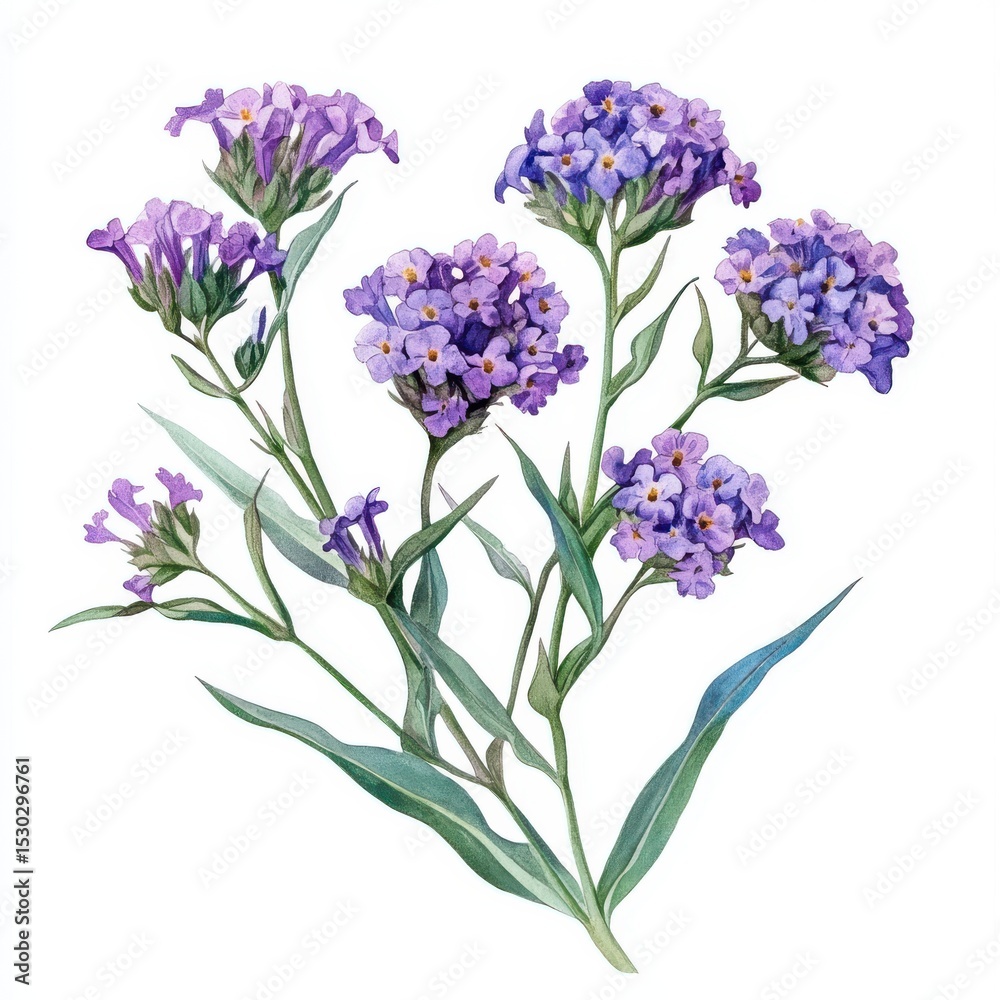 Obraz premium Watercolor Painting of a Delicate Purple Flower Bouquet on White Background