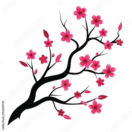 Silhouette of cherry blossom branch in bloom on white background