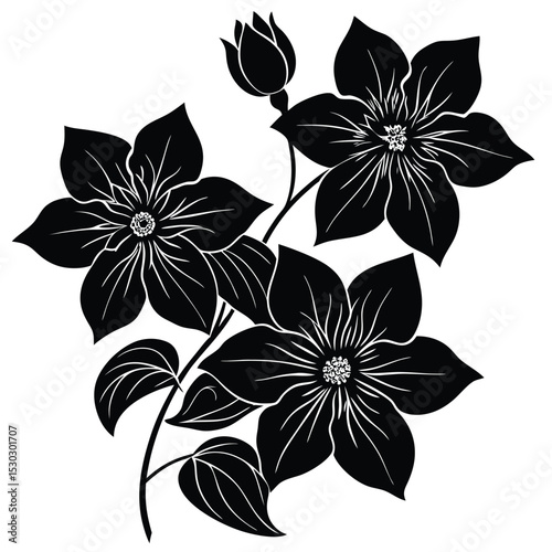 Clematis flower background design for print or web