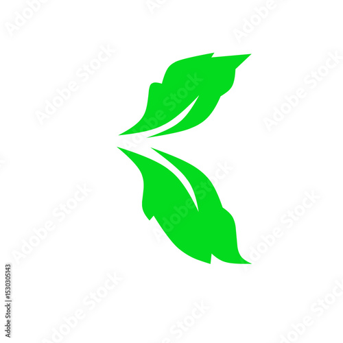 leaf vector