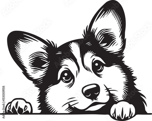 Peeking Corgi Dog Head Illustration