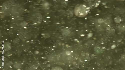 Abstract Gold Dust Particles Shimmering Light Bokeh Background Texture Overlay Design Element Sparkle Glimmering Motion Blur