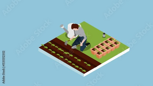 Urban Gardening – Isometric Illustration of Woman Planting and Growing Vegetables 3d animation cartoon
