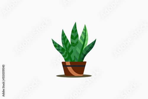 green plant in a pot