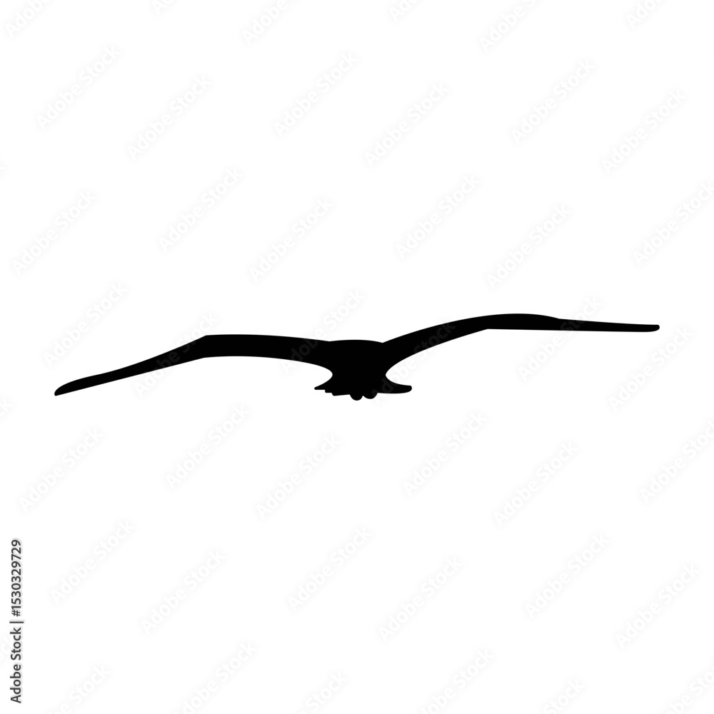 Fototapeta premium Bird icon