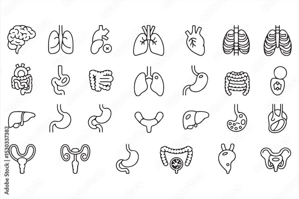 Minimal Line Icon Series Representing Key Human Organs in Monochrome Style