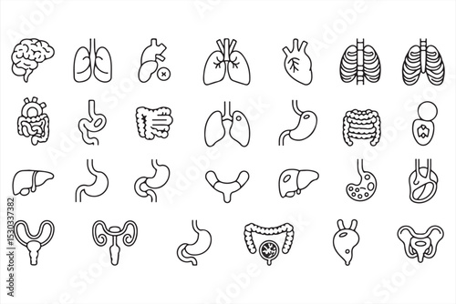 Minimal Line Icon Series Representing Key Human Organs in Monochrome Style