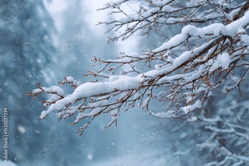 Branch covered in snow with falling snowflakes in a winter wonderland setting view